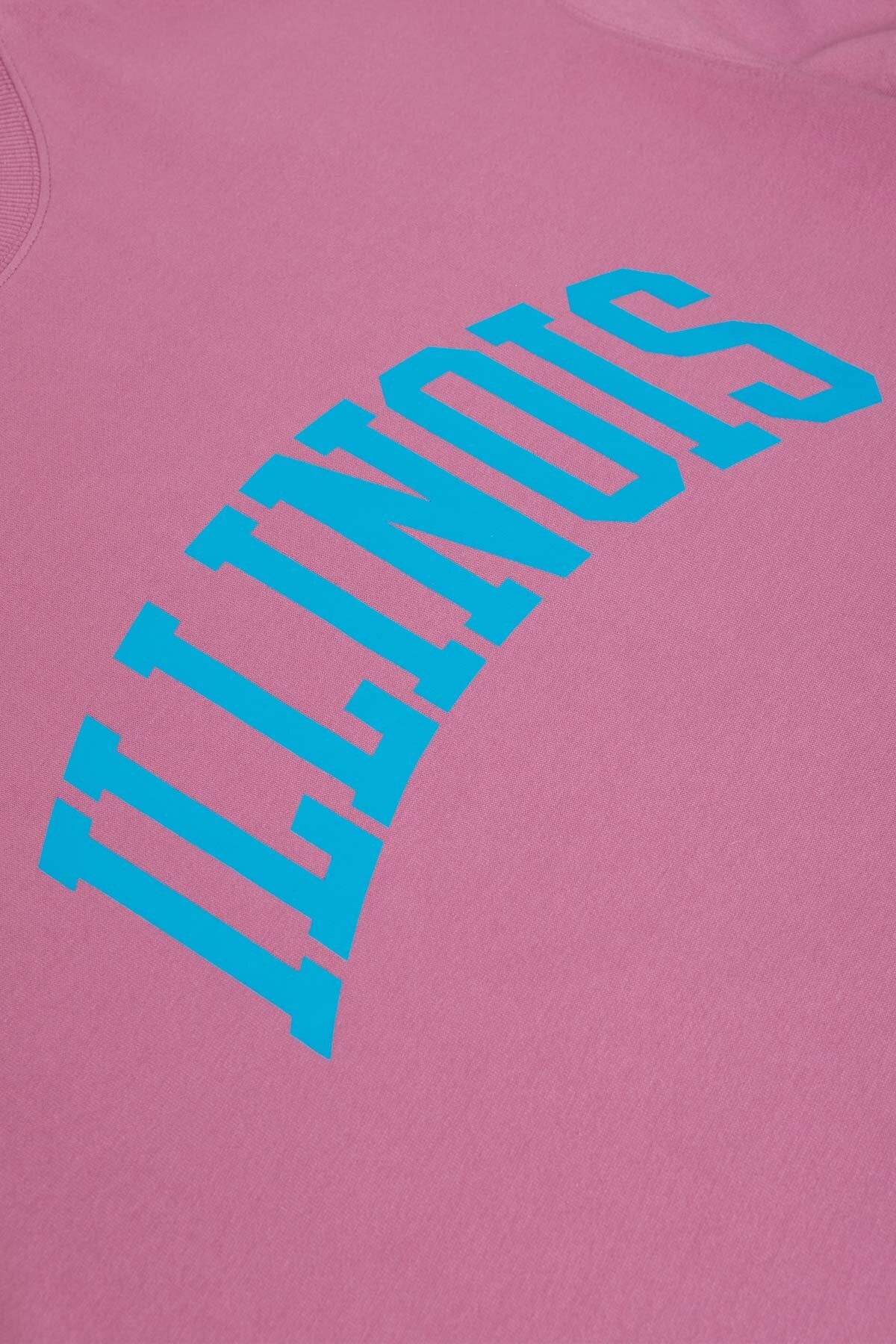 Illinois Sweatshirt