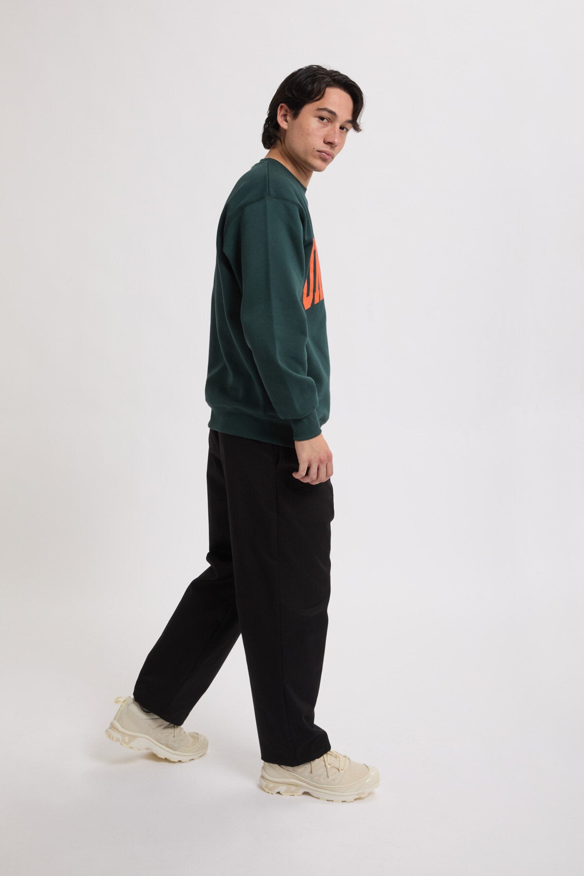 Twill Standard Pants