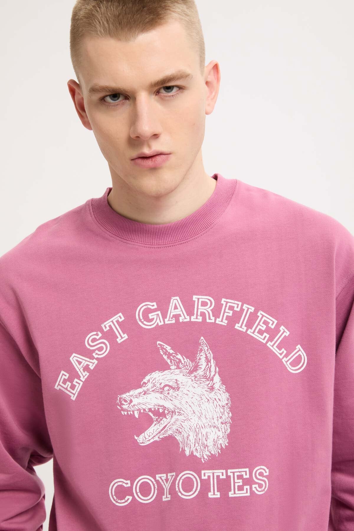 Coyote Sweatshirt
